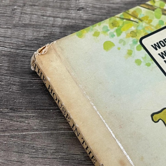 THE HOUSE IN THE HOLE IN THE SIDE OF THE TREE by V. GILBERT BEERS - VINTAGE 1973 - Picture 4 of 11